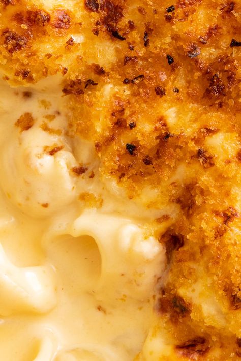 Learn how to make macaroni cheese with our comprehensive guide, and try our creamiest mac and cheese recipe. We reveal the secrets to the best macaroni cheese sauce, and tell you how to avoid common pitfalls. Macorini & Cheese, Macaroni Cheese Sauce, Creamiest Mac And Cheese, Red Leicester Cheese, How To Make Macaroni, Best Macaroni And Cheese, Macaroni Cheese Recipes, Creamy Macaroni And Cheese, Creamy Mac And Cheese