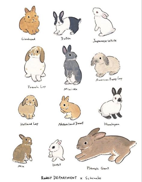 Schinako Moriyama, Bunny Mobile, Bunny Sketches, Bunny Tattoo, Bunny Watercolor, Rabbit Drawing, Bunny Tattoos, Rabbit Illustration, Bunny Drawing