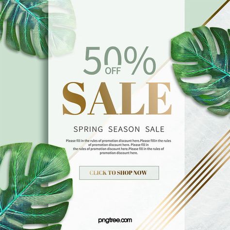 Fresh Light Green Marble Bronzing Line Monstera Light Luxury 50 Off Spring Sale Snsbanner 50% Off, Special Offer Design, Special Offer Poster, Offer Ads, Light Green Marble, Sale Flyer Design, Father Day Ad, Offer Poster, Spring Sale Banner