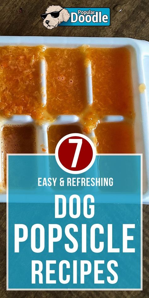 Popsicle For Dogs, Dog Popsicles Recipe Easy, Dog Pupcicle, Pupsicles Dogs, Woof Pupsicle Recipes, Pupsicles Dog Treats Recipe, Dog Popsicles Recipe, Diy Frozen Dog Treats, Frozen Peanut Butter Banana