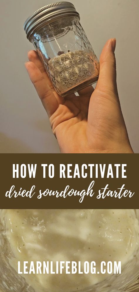 Freeze Dried Sourdough Starter, How To Rehydrate Dried Sourdough Starter, Dehydrate Sourdough Starter Oven, How To Reactivate Sourdough Starter, Rehydrating Sourdough Starter, Rehydrate Sourdough Starter, How To Rehydrate Sourdough Starter, Rye Sourdough Starter, Einkorn Flour