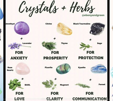 Bottles And Brews, Crystal Combos, Crystals And Herbs, Gemstones Chart, Crystal Healing Chart, Spells For Beginners, Magic Spell Book, Magic Herbs, Witch Spirituality