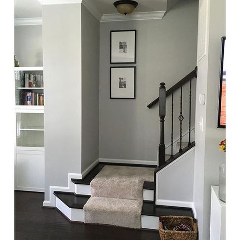 How to make a dark staircase or hallway feel brighter with paint colour. Via Sherwin Williams Hallway Paint Ideas, Dark Staircase, Interior Paint Schemes, Hallway Paint Colors, Hallway Paint, Painted Staircases, Interior Paint Colors Schemes, Hallway Colours, Painted Stairs