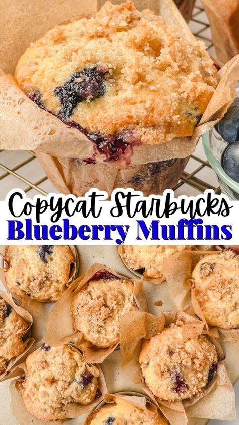 The Best Copycat Starbucks Blueberry Muffins Recipe - Our Crow's Nest Starbucks Copycat Muffins, Blueberry Muffin Starbucks, Starbucks Cupcakes Recipe, Large Blueberry Muffins Recipe, Copycat Starbucks Blueberry Muffin, Blueberries Muffins Recipes, Costco Blueberry Muffin Recipe, Blueberry Muffins Yogurt, Blueberry Muffins Greek Yogurt