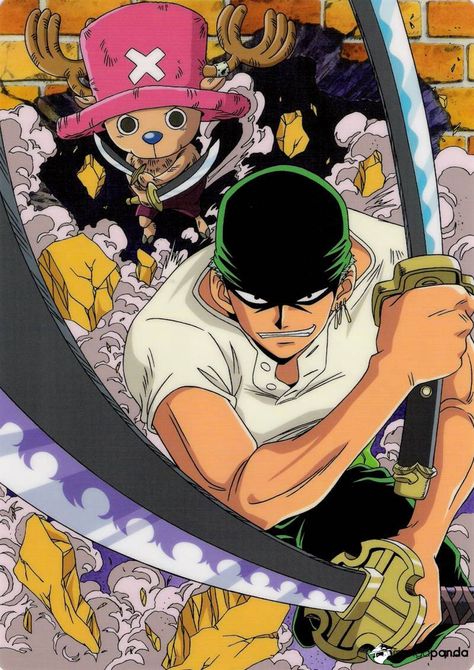 Zoro and Chopper Zoro One Piece Official Art, Zoro And Chopper, Sanji Zoro, Nefertari Vivi, Read One Piece Manga, One Piece Chopper, Zoro Roronoa, Tony Tony Chopper, One Piece Chapter