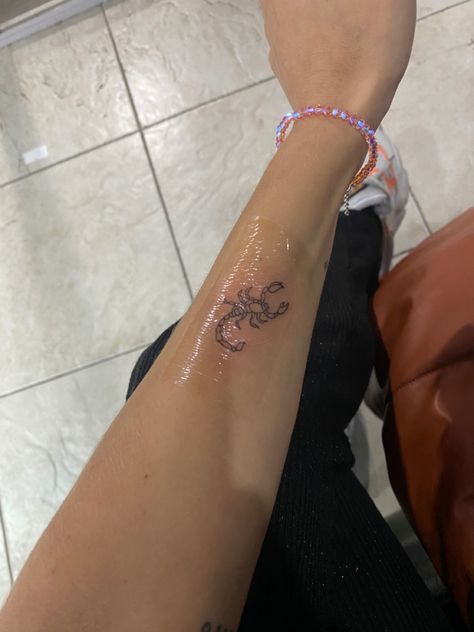 Scorpio Tattoo On Wrist, Scorpio Symbol Aesthetic, Dainty Scorpion Tattoo, Scorpion Tattoo On Arm, Cute Scorpion Tattoo For Women, Scorpio Wrist Tattoo, Scorpion Tattoo Placement, Scorpion Leg Tattoo, Eat Me Tattoo On Hip