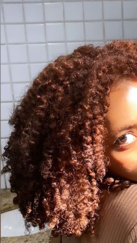 4c Dyed Hair Natural Brown, Brown Copper Hair Color Curly, Dark Ginger Natural Hair, Brown Afro Hair Color 4c, Afro Hair Dye Ideas, 4b Dyed Hair, Ginger Brown Curly Hair, Ginger Afro Hair, Ginger Curly Hair Black Women