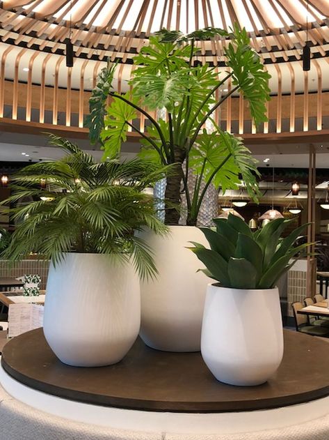 Artificial plants Gallery Courtyard Planters, Artificial Plants Indoor Decor, Plants On Deck, Garden Ideas Australia, Plants Around Pool, Artificial Garden Plants, Artificial Plant Arrangements, Large Outdoor Planters, Deck Decor