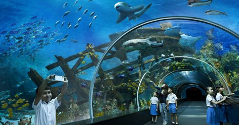 The Marine Life Park is a part of Resorts World Sentosa, Sentosa, situated in southern Singapore. The 8-hectare (20-acre) park houses two attractions, the S.E.A. Aquarium and the Adventure Cove Waterpark, and featured the largest oceanarium in the world from 2012 to 2014[2][3] (when surpassed by Chimelong Ocean Kingdom) Singapore Attractions, Underwater Restaurant, Strait Of Malacca, Singapore Tour, Ocean Aquarium, Sea Aquarium, Fauna Marina, Andaman And Nicobar Islands, Visit Singapore