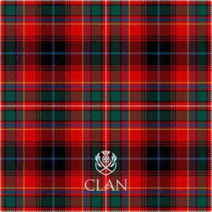 Tartans | CLAN Cotton Lawn Fabric, Yes Man, Duchess Satin, Tartan Design, Lawn Fabric, Red Tartan, Buy Fabric, Soft Velvet, Soft Furnishings