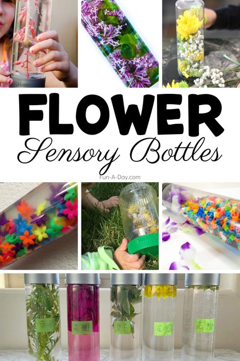 Love these ideas for making flower sensory bottles with the kids! Children can learn a variety of concepts while making the sensory jars. Make A Sensory Bottle, Preschool Flower Theme, Flower Sensory, Flower Math, Sensory Jars, Glitter Sensory Bottles, Discovery Bottles, Sensory Bottle, Sensory Bags