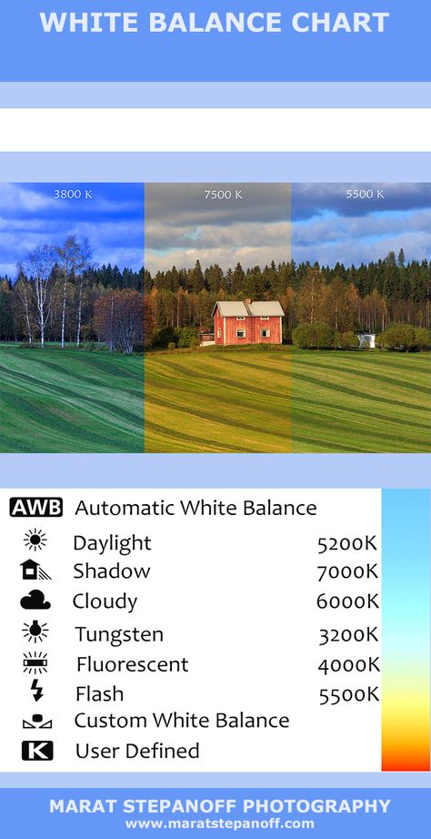 White Balance Cheat Sheet, White Balance Photography, Beginner Photography Camera, Photo Adjustments, Creative Photography Projects, Manual Photography, White Balance, Photography Settings, Dslr Photography Tips