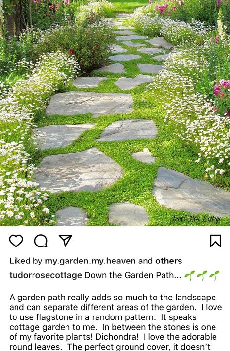 White Pebble Garden, Outdoor Tile Patio, Clover Lawn, Grass Alternative, Pebble Garden, Lawn Alternatives, Sloped Backyard, Cottage Garden Design, Garden Walkway