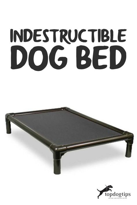 We've reviewed and ranked the top best chew-proof dog beds that are chew-proof to varying degrees. Here's what we found. Chew Proof Dog Bed Diy, Indestructible Dog Bed, Dyi Dog Bed, Outside Dog Bed, Bed Alternatives, Chew Proof Dog Bed, Durable Dog Bed, Raised Dog Beds, Indestructable Dog Bed