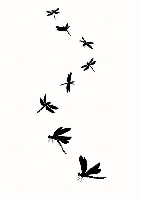 Dragonflies realistic lineart of a sketch or tattoo design Fantasy Line Drawing, Dragonfly Silhouette Tattoo, Black And White Dragonfly Tattoo, Dragon Fly Design, Dragon Fly Back Tattoo, Dragonfly Drawing Sketch, Dragon Fly Illustration, Dragonfly Line Art, Dragon Fly Tattoo Designs