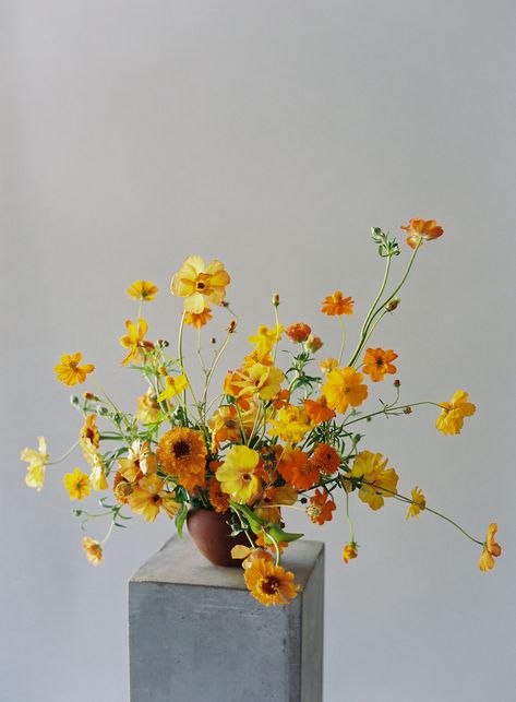 Yellow Flower Arrangements, Orange Wedding Flowers, Yellow Wildflowers, Flower Photoshoot, Flower School, Bouquet Arrangements, Flower Packaging, Beautiful Flower Arrangements, Winter Flowers