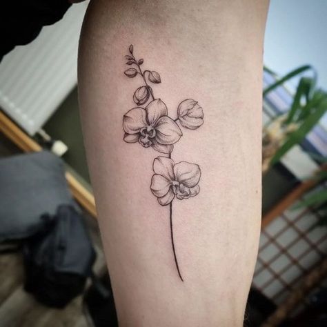 85+ Amazing Orchid Tattoos Designs with Meanings, Ideas, and Celebrities 3 Orchid Tattoo Meaning, Orchid Flower Tattoos, Men Flower Tattoo, Guitar Tattoo Design, Orchid Tattoo, One Piece Tattoos, Small Flower Tattoos, Intricate Tattoo, Pieces Tattoo