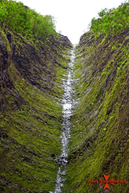 Sacred Falls Oahu Hawaii Oahu Waterfalls, Hawaii Waterfalls, Hawaii Adventures, Vacation Wishes, Hawaii Destinations, Turtle Beach, Aloha Hawaii, Hawaiian Vacation, Hawaii Life