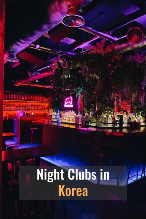 6 Types of Night Clubs in Korea and What to Expect Korean Night Club Aesthetic, Korea Club, Seoul Night, Korean Travel, Night Club Aesthetic, Korea Trip, Seoul Travel, Night Clubs, Clubbing Aesthetic