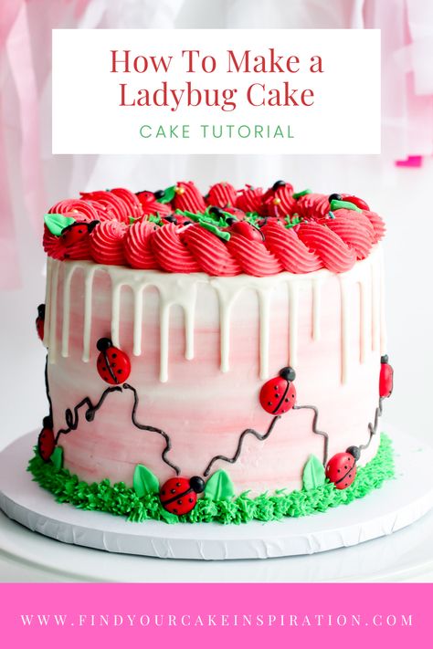 How To Make A Ladybug Cake Pin Round Birthday Cakes, Cake Design Tutorial, Ladybug Cakes, Bug Cake, Ladybug Cake, Butterfly Birthday Cakes, Baby First Birthday Cake, White Chocolate Candy, Baby Shower Cakes Girl