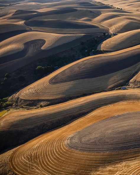 George Steinmetz в Instagram: «Wheat harvest in The Palouse, a region of rolling hills that spans the border between Idaho and Washington. It has the most productive…» Wheat Harvest, The Palouse, Rolling Hills, Idaho, Wheat, Washington, Abstract Artwork, Instagram