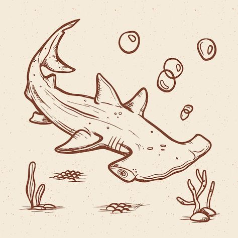 Cute Line Art Drawing, Whale Shark Drawing Sketches, Shark Tattoo Design Drawings, Shark Drawing Simple, Sharks Sketch, How To Draw A Shark, Ocean Fish Drawing, Undersea Drawing, Shark Drawing Sketches