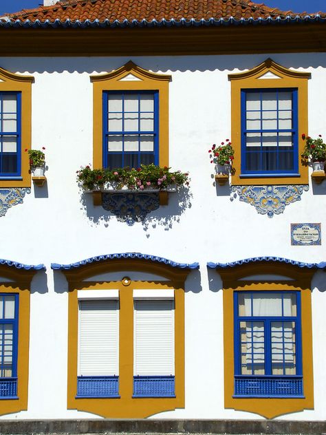 European Windows, Portugal Cities, Port Town, Portugal Travel Guide, Colour Architecture, Rough Seas, Portuguese Culture, Green Farm, Traditional Houses