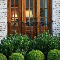 Designing a Foundation Planting Scheme | Grow Beautifully Boxwood Landscaping, Front Yard Plants, Plans Architecture, Foundation Planting, Front Landscaping, Garden Shrubs, Iron Fence, Landscaping Tips, Design School