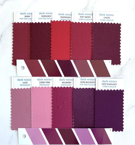 Color Palette Swatches, Deep Winter Palette Outfits, Winter Colour Palette, Orchid Room, Color Analysis Winter, Deep Winter Palette, Deep Autumn Color Palette, Sunset Winter, Deep Winter Colors