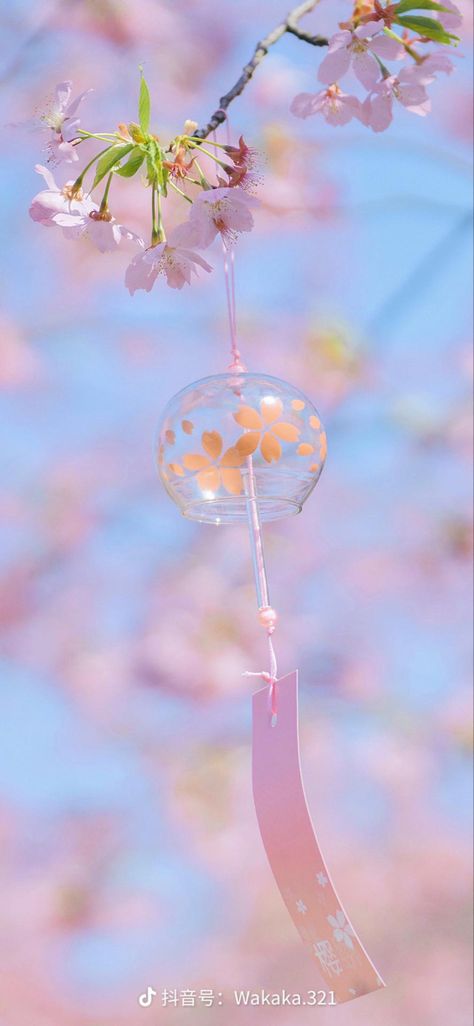 Pink Kitsune Aesthetic, Wind Chime Aesthetic, Pink Sakura Aesthetic, Pink Japanese Aesthetic, Cherry Blossom Lantern, Sakura Aesthetic, Japanese Wind Chimes, Cherry Blossom Wallpaper, Chinese Wallpaper