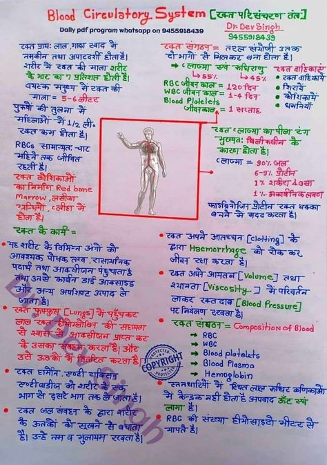 Gk Notes In Hindi, Neet Exam Notes In Hindi, Neet Exam Notes Biology In Hindi, Gk Knowledge In Hindi Trick, Biology Notes In Hindi, Science Notes In Hindi, Blood Circulation System, Human Body Science Projects, Human Body Vocabulary