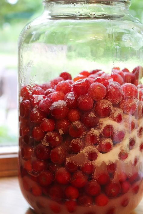 Cherry Bounce Recipe, Cocktail Jars, Cherry Bounce, Homemade Liqueur Recipes, Brandy Recipe, Cherry Whiskey, Liqueur Recipes, Wine Making Recipes, Homemade Wine Recipes