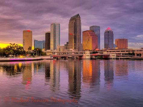 Tampa Skyline, Phone Widget, University Of Tampa, Scenic Pictures, Urban Aesthetic, Cityscape Painting, Sunshine State, Laundry Hacks, Tampa Fl