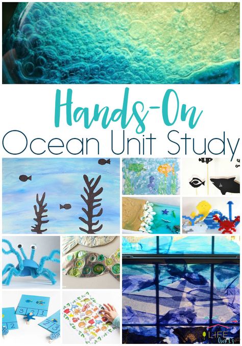 Your kids will love this hands-on ocean unit study. Choose from STEM, science, math, literacy, art and craft activities! Ocean Unit Study, Art And Craft Activities, April Preschool, Teaching Board, Ocean Habitat, Ocean Theme Preschool, Ocean Projects, Marine Science, Ocean Unit