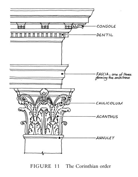 Corinthian Order Sketch, Corinthian Order Architecture, Corinthian Order Drawing, Exterior Stone Wall Cladding, Corinthian Order, Ionic Order, Cornice Design, Stone Wall Design, Greek Architecture