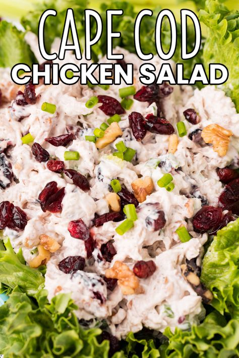 Walnut & Cranberry Chicken Salad (AKA Cape Cod Chicken Salad) is an easy recipe perfect for meal prepping with crunchy nuts & tart craisins! #BreadBoozeBacon #walnut #cranberry #chicken #chickensalad #capecod #capecodchickensalad #nuts #craisins #mayo #dijon #celery #easyrecipe #lunchideas #mealprep Cape Cod Chicken Salad Recipes, Cape Cod Chicken Salad, Chicken Salad With Walnuts Recipe, Chicken Salad No Mayo, Cranberry Walnut Chicken Salad, Shredded Chicken Salads, Fresh Cranberry Recipes, Cranberry Walnut Salad, Chicken Salad Dressing