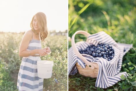 Contax 645, Blueberry Picking, Blackberry Farms, Fruit Picking, Berry Picking, Photography Mini Sessions, Farm Photo, Blog Inspiration, Mini Session