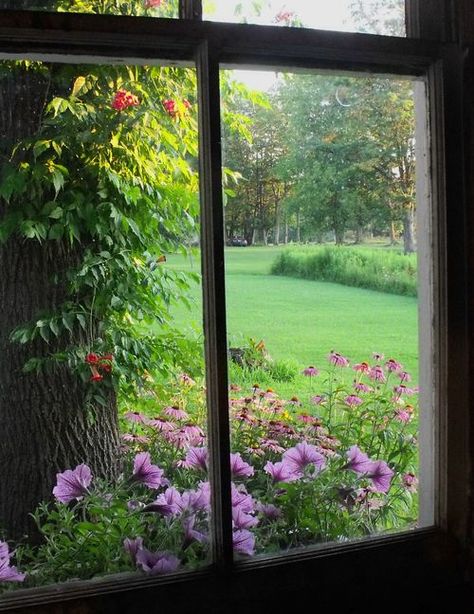 Beautiful view Gardeners Cottage, Window Backdrop, Fake Window, Windows 1, Looking Out The Window, Beautiful Windows, Window View, Through The Window, Beautiful View