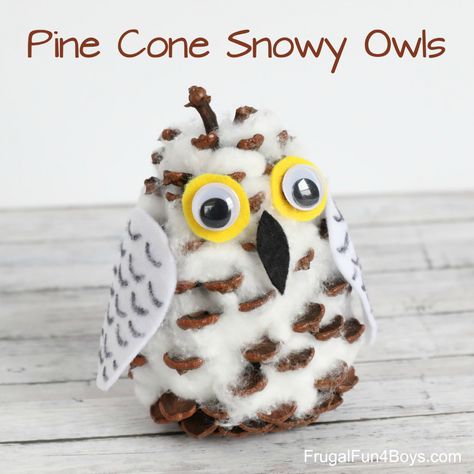 Snow Owls Preschool Crafts, Owl Pinecone, Snowy Owl Craft, Pinecone Owls, Pinecone Crafts Kids, Owl Craft, Polar Animals, Snow Owl, Daycare Ideas