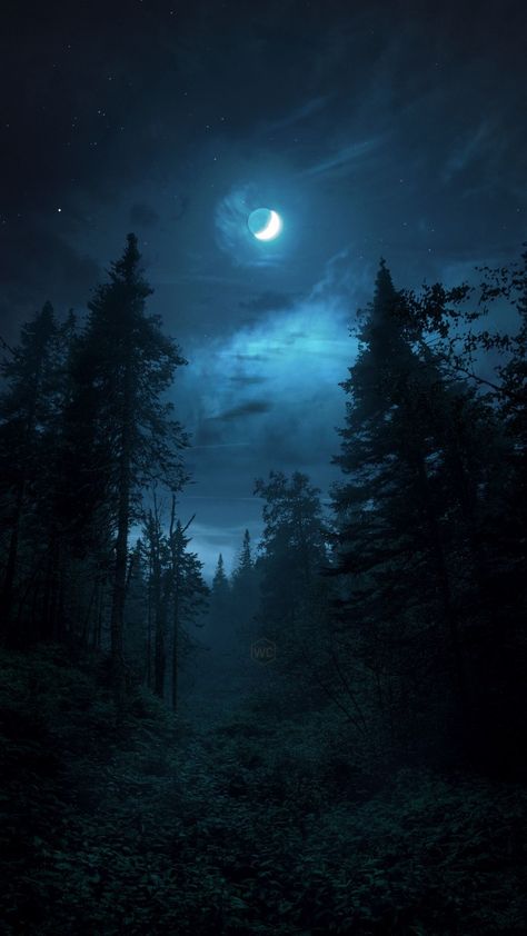 Night Landscape Photography, Dark Forest Aesthetic, Amoled Wallpapers, Witchy Wallpaper, Dark Nature Aesthetic, Night Landscape, Cool Wallpapers Art, Halloween 2023, Photography Wallpaper