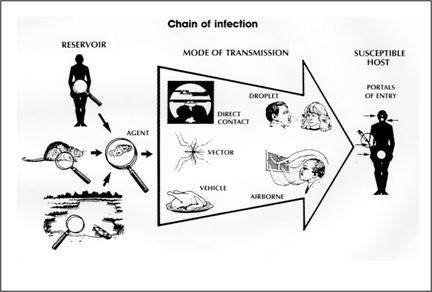 Chain of Infection Chain Of Infection, Nursing School Essential, Exam Guide, Workforce Development, Small Insects, Infection Control, Hand Hygiene, Lesson 1, Study Course