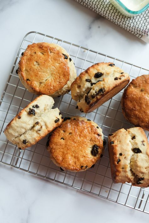 British Desserts Traditional, British Scones Recipe, Currant Scones Recipe, Book Club Menu Ideas, Current Scones, Scones Blueberry, Currant Scones, British Tea Time, Plain Scones