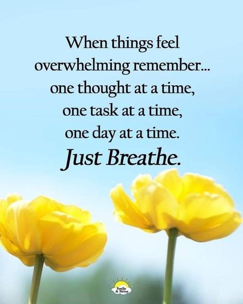 Now Quotes, Thankful Grateful Blessed, One Day At A Time, Morning Friends, Good Morning Friends, Positive Self Affirmations, Just Breathe, Lesson Quotes, Inspirational Thoughts