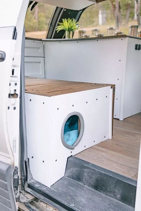 Cat Van Life, Van Living With Cat, Van Conversion Walls, Van Life With Pets, Van Life Ideas, Camper Cat, Converted Camper, Van Life Cat, Minivan Life