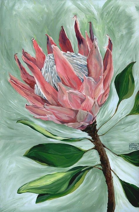 Plant Painting Art, King Protea Flower, Protea Plant, Bild Gold, Protea Art, King Protea, Protea Flower, Native Flowers, Watercolor Flower Art