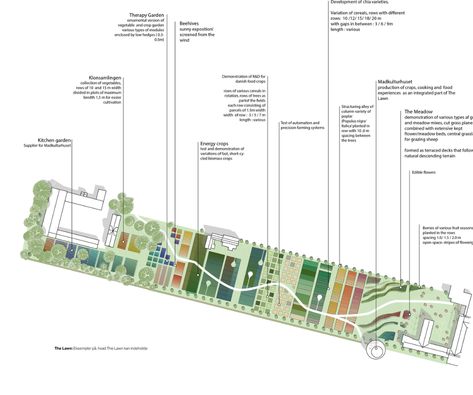 Gallery of Agro Food Park Expansion in Denmark to Combine Urbanity and Agriculture - 18 Urban Farming Architecture, Permaculture Farming, Parking Plan, Architecture Site Plan, Urban Design Diagram, Master Thesis, Urban Design Plan, Food Park, Farm Plans