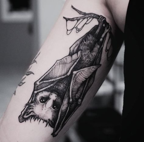 Neo Traditional Bat Tattoo, Hanging Bat Tattoo, Tattoo Bat, Bat Tattoos, Bats Tattoo Design, Bat Photos, Men's Fashion Tips, Bat Tattoo, Witch Tattoo