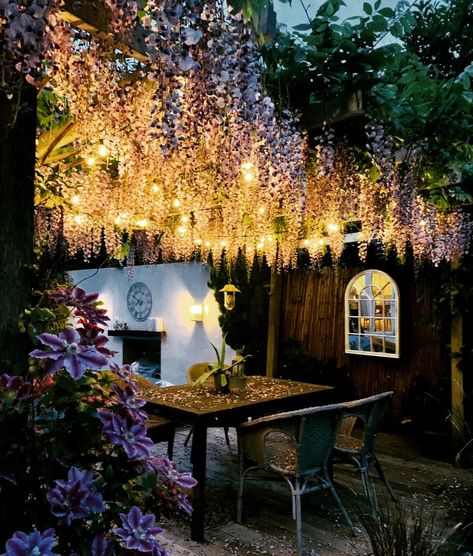 Pergola With Lights, Wisteria Arbor, Wisteria Pergola, Festoon Lights, Pergola Lighting, Festoon Lighting, Wisteria, Arbor, Room Inspo