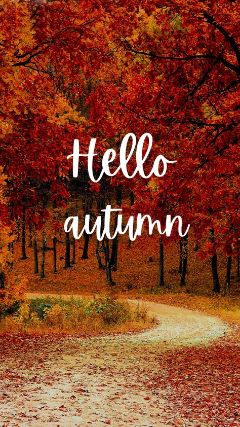 Fall saying with a beautiful background. Fall Time Quotes, Hello Fall Quotes, Social Media Holidays, Fall Background Wallpaper, Hashtags For Instagram, New Month Quotes, Autumnal Equinox, Make Lemonade, Autumn Magic