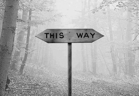 “Would you tell me, please, which way I ought to go from here?" "That depends a good deal on where you want to get to." "I don't much care where –" "Then it doesn't matter which way you go.”  ― Lewis Carroll, Alice in Wonderland  "Würden Sie mir bitte sagen, welchen Weg ich von hier aus gehen?« »Das hängt ein gutes Stück auf, in dem Sie erhalten möchten" "Ich weiß nicht viel Pflege, wo -". "Dann ist es egal, im Wunderland von Lewis Carroll, Alice - welchen Weg Sie gehen. " Alice In Wonderland Aesthetic, Over The Garden Wall, Were All Mad Here, Photo Vintage, Lewis Carroll, White Aesthetic, Mad Hatter, A Sign, Garden Wall